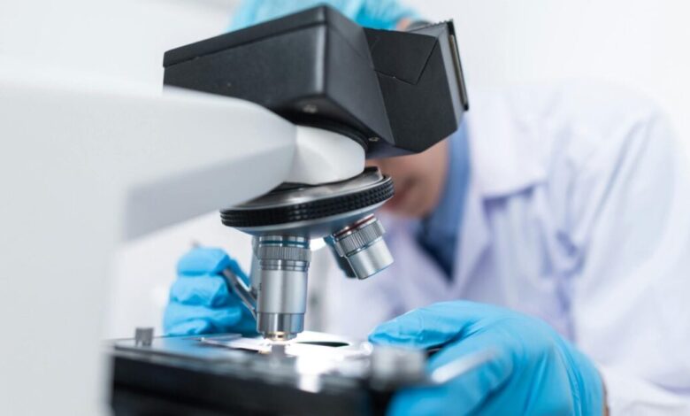 Πέτρες-στα-νεφρά:-Γιατί-μεγαλώνει-ο-κίνδυνος-στις-γιορτές-και-πώς-να-τον-προλάβετε