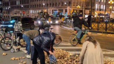 Βρυξέλλες:-Μαζεύουν-πατάτες-από-τον-δρόμο-μετά-τις-αγροτικές-διαμαρτυρίες