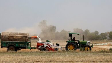 Πρωτοβουλία-του-ΥΠΑΑΤ-για-γεωργούς-που-δεν-έλαβαν-την-βασική-ενίσχυση-λόγω-εκκρεμοτήτων-στο-Κτηματολόγιο