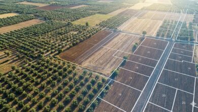 Ομολογία-«μπάχαλου»-με-τις-επιδοτήσεις:-Τρέχουν-τώρα-να-πληρώσουν-τους-αγρότες-που-«έκοψε»-το-Κτηματολόγιο