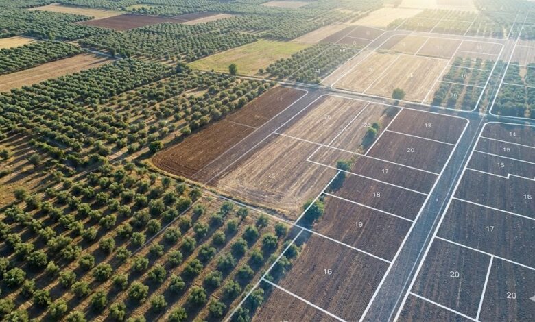 Ομολογία-«μπάχαλου»-με-τις-επιδοτήσεις:-Τρέχουν-τώρα-να-πληρώσουν-τους-αγρότες-που-«έκοψε»-το-Κτηματολόγιο