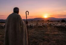 «Ανάσα»-στους-κτηνοτρόφους:-Τέλος-σε-πλειστηριασμούς-και-κατασχέσεις-λόγω-ευλογιάς-έως-το-2026