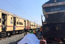 Ινδία:-Τρένο-συγκρούστηκε-με-κοπάδι-ελεφάντων-–-7-ζώα-σκοτώθηκαν