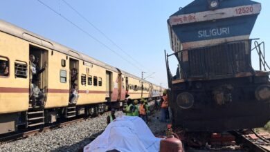 Ινδία:-Τρένο-συγκρούστηκε-με-κοπάδι-100-ελεφάντων-που-διέσχιζε-τις-ράγες