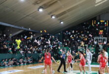 Όμορφη-κίνηση-από-τον-κόσμο-του-Παναθηναϊκού-στο-κλειστό-της-Λεωφόρου:-Γέμισαν-με-λούτρινα-αρκουδάκια-το-παρκέ