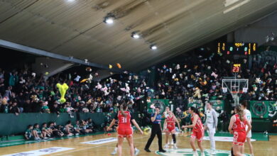 Όμορφη-κίνηση-από-τον-κόσμο-του-Παναθηναϊκού-στο-κλειστό-της-Λεωφόρου:-Γέμισαν-με-λούτρινα-αρκουδάκια-το-παρκέ