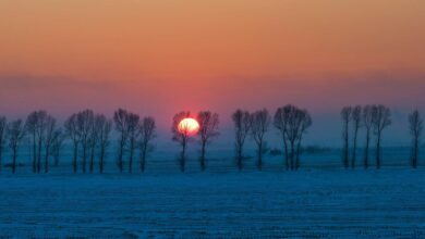 Και-επισήμως-χειμώνας:-Σήμερα-21-Δεκεμβρίου-η-μεγαλύτερη-νύχτα-του-χρόνου