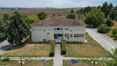 h-πολύτιμη-συμβολή-του-Κτηνιατρικού-Εργαστηρίου-Λάρισας-στη-διαχείριση-της-ευλογιάς