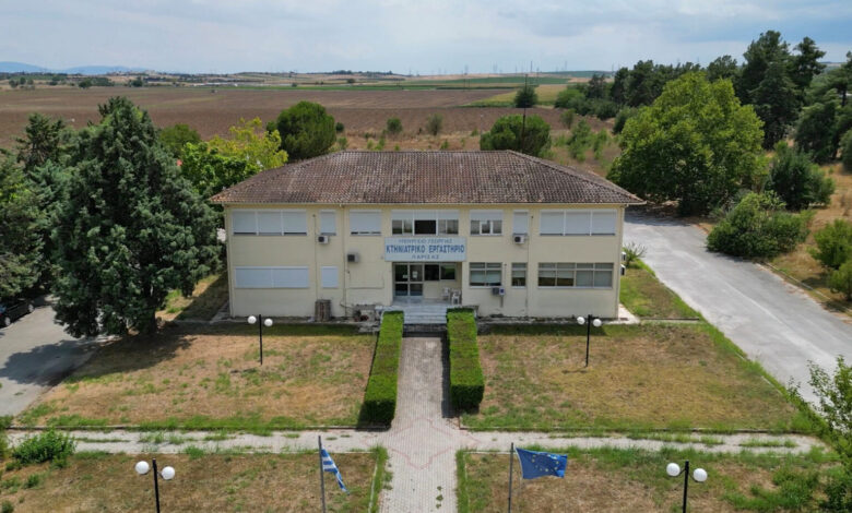 h-πολύτιμη-συμβολή-του-Κτηνιατρικού-Εργαστηρίου-Λάρισας-στη-διαχείριση-της-ευλογιάς