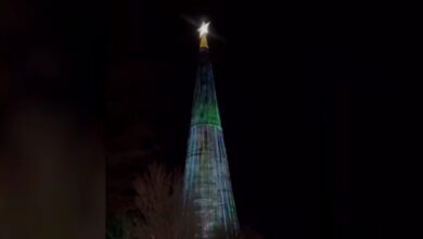 Χανιά:-Φωταγωγήθηκε-στο-φαράγγι-της-Σαμαριάς-ένα-από-τα-μεγαλύτερα-χριστουγεννιάτικα-δέντρα-της-Ελλάδας