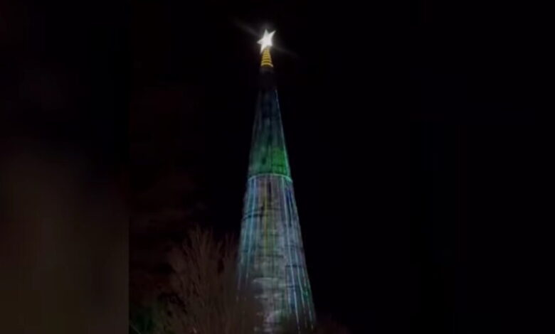 Χανιά:-Φωταγωγήθηκε-στο-φαράγγι-της-Σαμαριάς-ένα-από-τα-μεγαλύτερα-χριστουγεννιάτικα-δέντρα-της-Ελλάδας