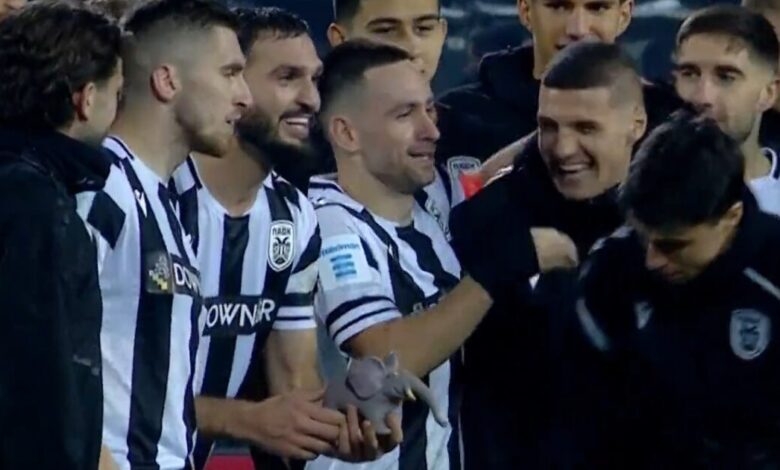 ΠΑΟΚ-–-Παναθηναϊκός:-Ένα-«ελεφαντάκι»-έκλεψε-την-παράσταση-στους-πανηγυρισμούς-στην-Τούμπα