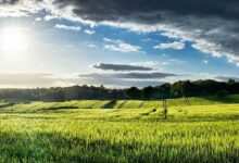 ΟΠΕΚΕΠΕ:-Τι-ισχύει-για-αγροτεμάχια-χωρίς-ΚΑΕΚ-και-Μέτρο-23