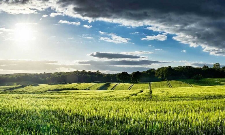 ΟΠΕΚΕΠΕ:-Τι-ισχύει-για-αγροτεμάχια-χωρίς-ΚΑΕΚ-και-Μέτρο-23