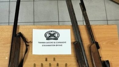 Άνω-Λιόσια:-Έκρυβαν-4-όπλα-στο-σπίτι-τους-–-Το-ένα-ήταν-κλεμμένο-εδώ-και-20-χρόνια