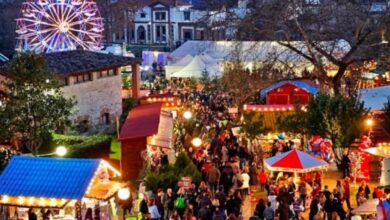 Έφη-Λεβέντη:-Κάτω-30%-ο-Μύλος-λόγω-των-μπλόκων-–-χάθηκαν-οι-σχολικές-εκδρομές