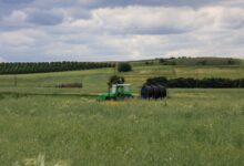 ΕΛΓΑ:-Στα-35,1-εκατ.-ευρώ-ανήλθε-η-προκαταβολή-ενισχύσεων-για-ζημιές-φυτικού-κεφαλαίου