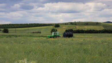 ΕΛΓΑ:-Στα-35,1-εκατ.-ευρώ-ανήλθε-η-προκαταβολή-ενισχύσεων-για-ζημιές-φυτικού-κεφαλαίου
