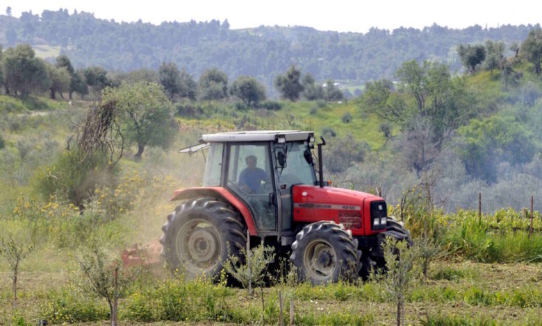 Στον-Εισαγγελέα-οι-πρώτες-50-μαζικές-διαγραφές-αγροτεμαχίων-στο-Ε9-που-εντοπίστηκαν-από-την-ΑΑΔΕ