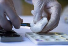 Ιταλία:-Κατασχέθηκαν-435-κιλά-κοκαΐνης-αξίας-περίπου-70-εκατομμυρίων-ευρώ