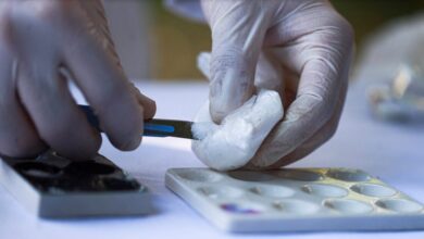 Ιταλία:-Κατασχέθηκαν-435-κιλά-κοκαΐνης-αξίας-περίπου-70-εκατομμυρίων-ευρώ