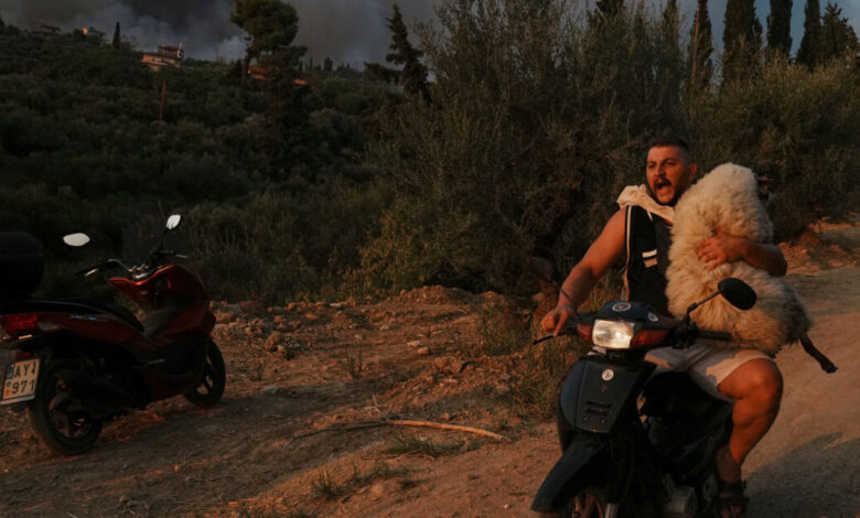 Το-2025-μέσα-από-τον-φακό-του-Αssociated-press:-Εικόνες-που-σημάδεψαν-τη-χρονιά