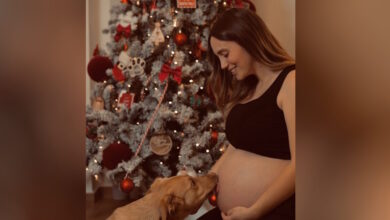 Άννα-Κορακάκη:-Η-νέα-φωτογραφία-με-φουσκωμένη-κοιλίτσα-και-το-σκυλάκι-της-κάτω-από-το-χριστουγεννιάτικο-δέντρο