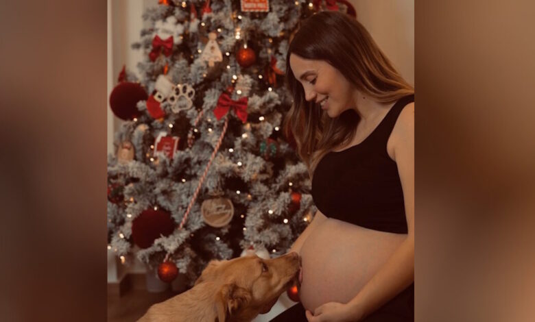 Άννα-Κορακάκη:-Η-νέα-φωτογραφία-με-φουσκωμένη-κοιλίτσα-και-το-σκυλάκι-της-κάτω-από-το-χριστουγεννιάτικο-δέντρο