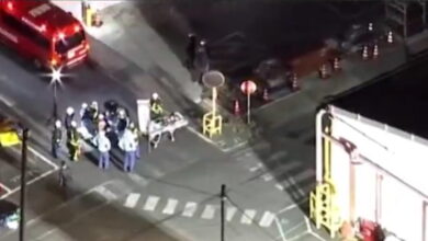 Ιαπωνία:-15-τραυματίες-από-επίθεση-με-μαχαίρι-και-χλωρίνη-σε-εργοστάσιο-–-6-νοσηλεύονται