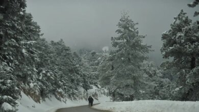 Καιρός:-Έρχονται-χιόνια-στις-κορυφές-της-Πάρνηθας-και-πτώση-της-θερμοκρασίας-–-Η-πρόγνωση-των-επόμενων-ημερών