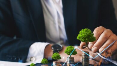 Ομάδα-εργασίας-από-το-υπουργείο-Ανάπτυξης-για-την-εφαρμογή-του-net-zero-industry-act