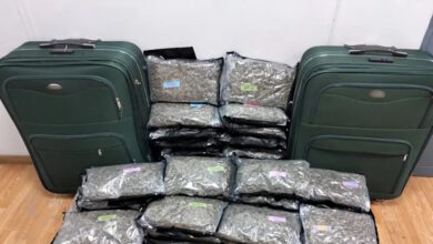 Συνελήφθη-29χρονη-στο-«Ελευθέριος-Βενιζέλος»-με-πάνω-από-24-κιλά-ακατέργαστης-κάνναβης