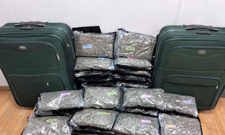 Συνελήφθη-29χρονη-στο-«Ελευθέριος-Βενιζέλος»-με-πάνω-από-24-κιλά-ακατέργαστης-κάνναβης