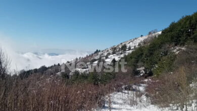 Σέρρες:-Δεν-ανήκει-στον-45χρονο-διοικητή-της-πυροσβεστικής-των-Άνω-Ποροΐων-το-αυτοκίνητο-που-εντοπίστηκε-στο-όρος-Μπέλλες 