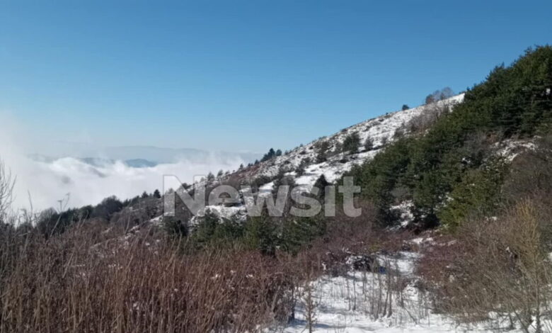 Σέρρες:-Δεν-ανήκει-στον-45χρονο-διοικητή-της-πυροσβεστικής-των-Άνω-Ποροΐων-το-αυτοκίνητο-που-εντοπίστηκε-στο-όρος-Μπέλλες 