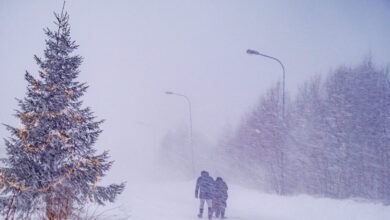 Σουηδία-–-Φινλανδία:-Η-καταιγίδα-Γιοχάνες-άφησε-πίσω-της-δύο-νεκρούς-και-χιλιάδες-νοικοκυριά-χωρίς-ρεύμα