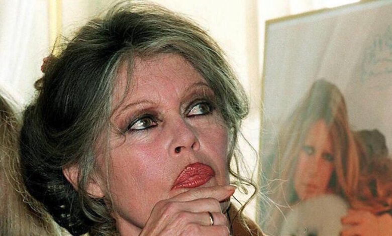 Μπριζίτ-Μπαρντό:-Η-στροφή-προς-τον-ακτιβισμό,-η-αποστασιοποίηση-από-τον-φεμινισμό-και-η-Μαρίν-Λε-Πεν-ως-«σύγχρονη-Ιωάννα-της-Λωραίνης»