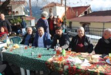 Γιορτή-Τσιγαρίδας-στο-Βροντερό