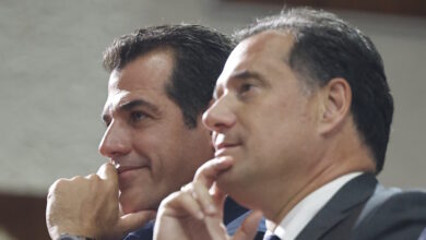 Άδωνις-Γεωργιάδης-και-Θάνος-Πλεύρης-εναντίον-Διεθνούς-Αμνηστίας-και-Χάγης:-«Αντιδυτικά-και-αριστεροκρατούμενα-όργανα»