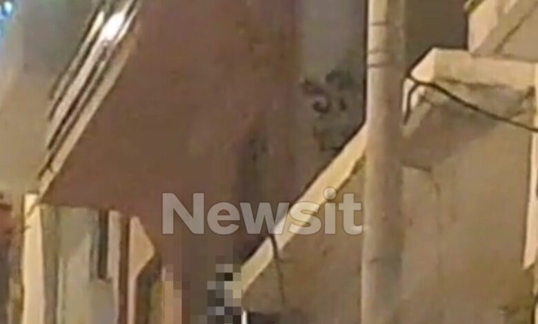 Γκύζη:-Το-δράμα-πίσω-από-την-τραγωδία-–-Το-σημείωμα-και-το-τραγικό-φινάλε-με-τη-βουτιά-θανάτου