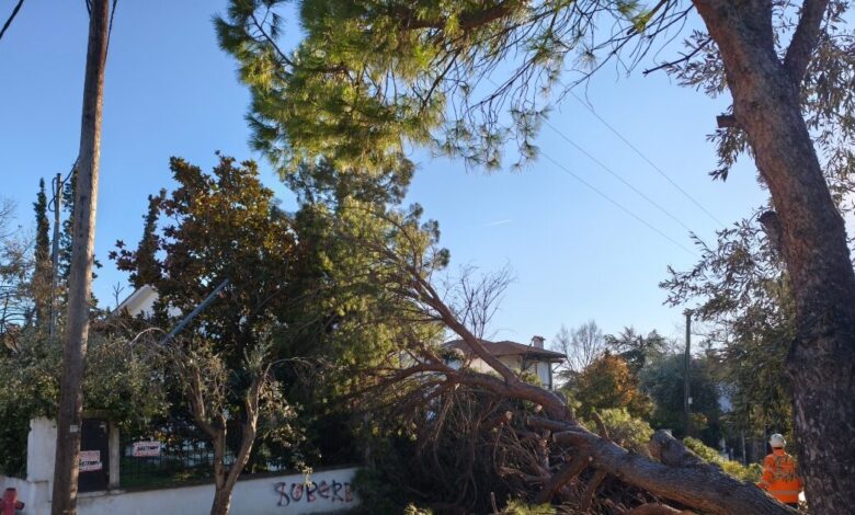 Θεσσαλονίκη:-«Βουτιά»-έκανε-ο-υδράργυρος-–-710-κλήσεις-στην-Πυροσβεστική-και-ριπές-πάνω-από-100-χιλιόμετρα