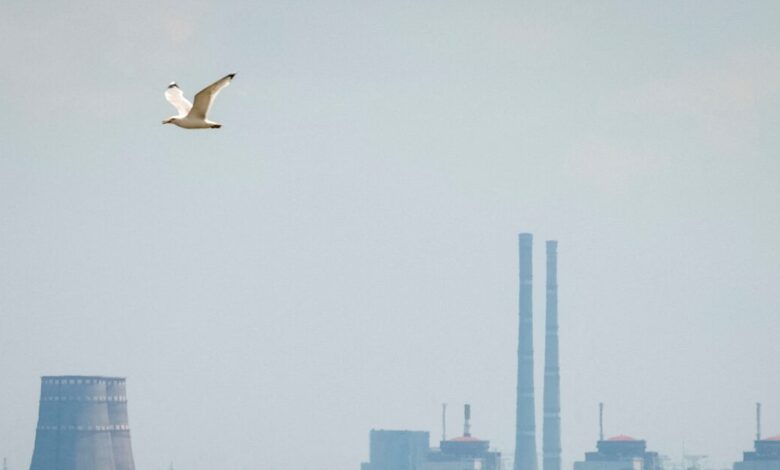 Ο-πυρηνικός-σταθμός-της-Ζαπορίζια-θα-λειτουργήσει-σε-18-μήνες-από-τη-λήξη-του-πολέμου-στην-Ουκρανία