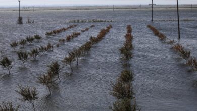 Υπογράφτηκε-η-τελευταία-επιχορήγηση-για-τις-επιχειρήσεις-που-επλήγησαν-από-τον-daniel-στη-Θεσσαλία