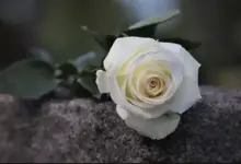 Έφυγε-από-τη-ζωή-ο-Γεώργιος-Παπαχρήστος-–-Την-Τετάρτη-η-κηδεία-στο-Φωτεινό-Καλαμπάκας