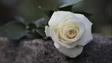 Έφυγε-από-τη-ζωή-ο-Γεώργιος-Παπαχρήστος-–-Την-Τετάρτη-η-κηδεία-στο-Φωτεινό-Καλαμπάκας