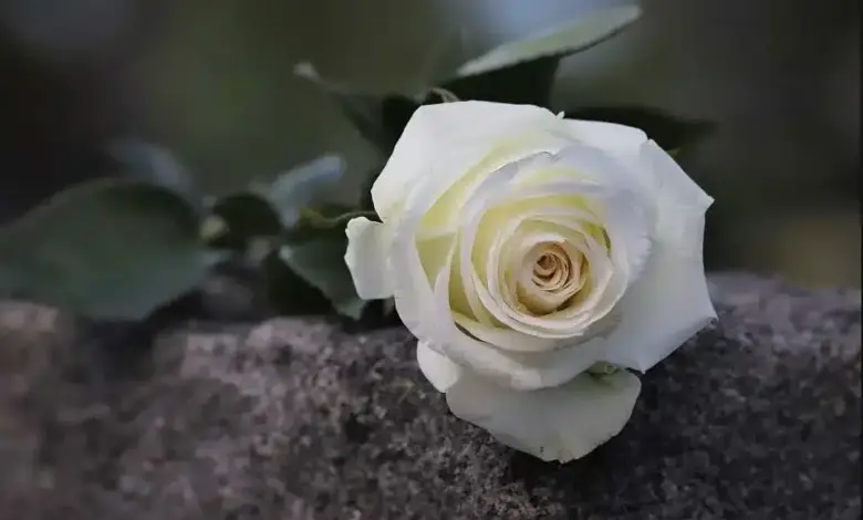 Έφυγε-από-τη-ζωή-ο-Γεώργιος-Παπαχρήστος-–-Την-Τετάρτη-η-κηδεία-στο-Φωτεινό-Καλαμπάκας