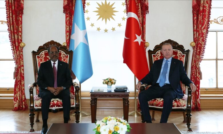 Με-τον-Ερντογάν-στην-Κωνσταντινούπολη-συναντήθηκε-ο-Σομαλός-Πρόεδρος