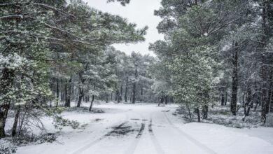Καιρός-Πρωτοχρονιάς:-Ψυχρή-εισβολή-εξπρές-–-Χιόνια-στην-Αττική,-χαμηλές-θερμοκρασίες-με-ανέμους-που-«ξυρίζουν»