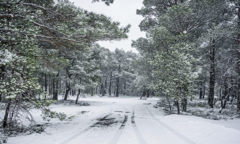 Καιρός-Πρωτοχρονιάς:-Ψυχρή-εισβολή-εξπρές-–-Χιόνια-στην-Αττική,-χαμηλές-θερμοκρασίες-με-ανέμους-που-«ξυρίζουν»