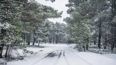 Καιρός-Πρωτοχρονιάς:-«Εισβολή»-εξπρές-πολικού-ψύχους-–-Χιόνια-στην-Αττική,-χαμηλές-θερμοκρασίες-με-ανέμους-που-«ξυρίζουν»